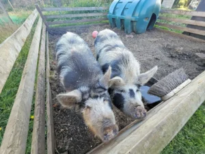 The reception staff at quite campsite in Suffolk